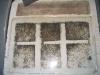 Lasius niger04-1