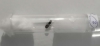Reina Lasius
